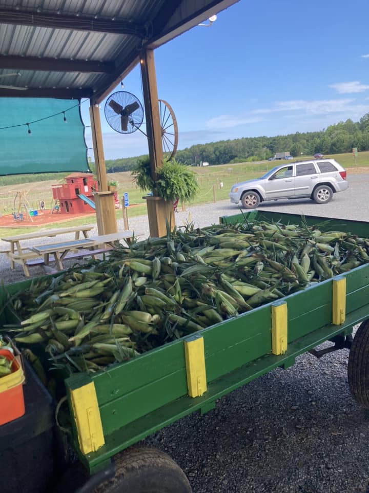 F & C Family Farm